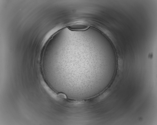 X0000112511426200908311322