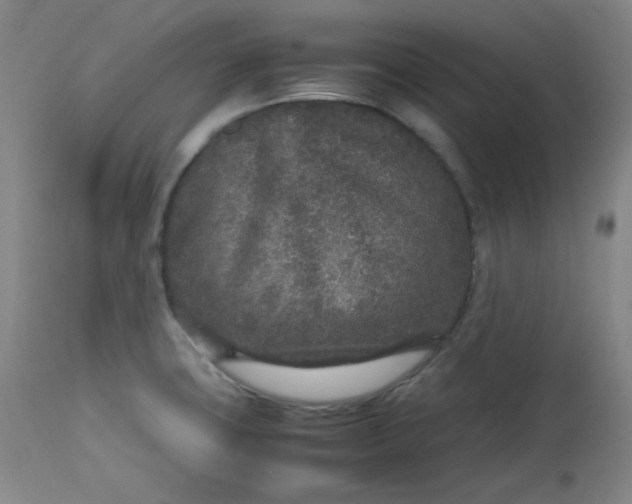 X0000112511427200908311322