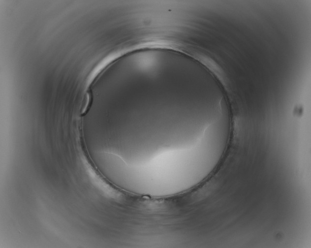 X0000112511428200908311322