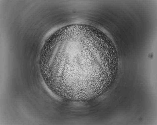 X0000112511429200908311322