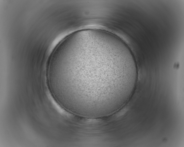 X0000112511430200908311322