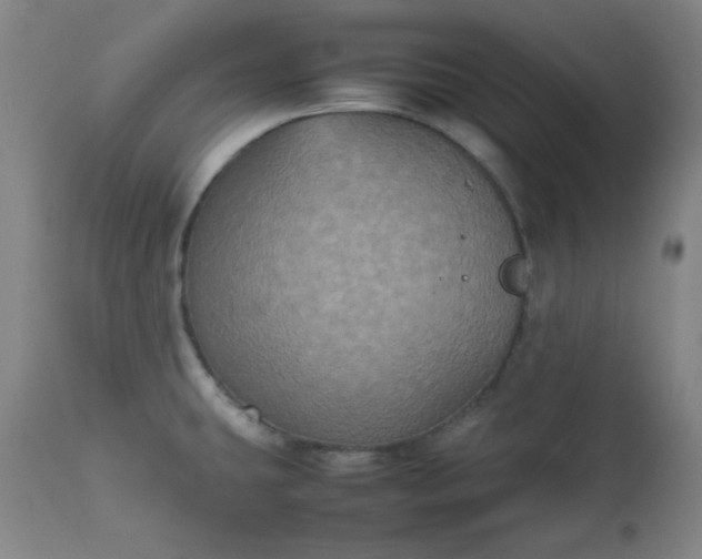 X0000112511431200908311322