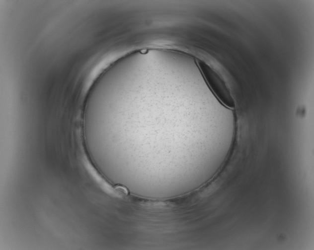 X0000112511432200908311322