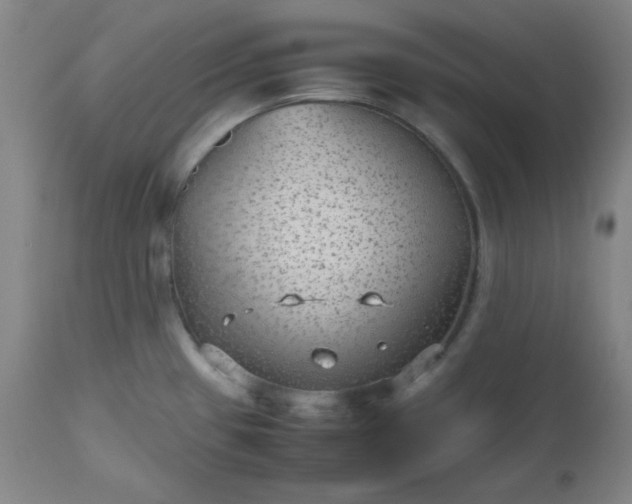 X0000112511433200908311322