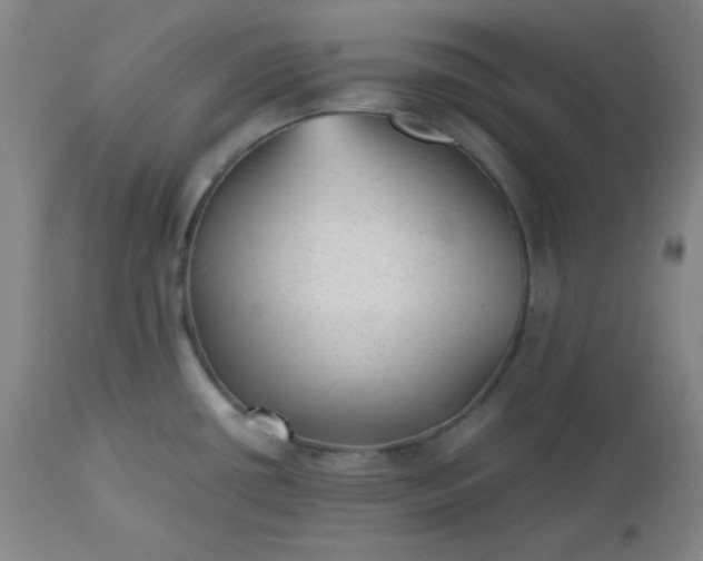 X0000112511434200908311322