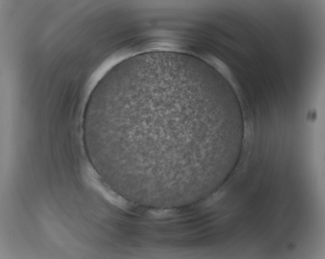 X0000112511435200908311322