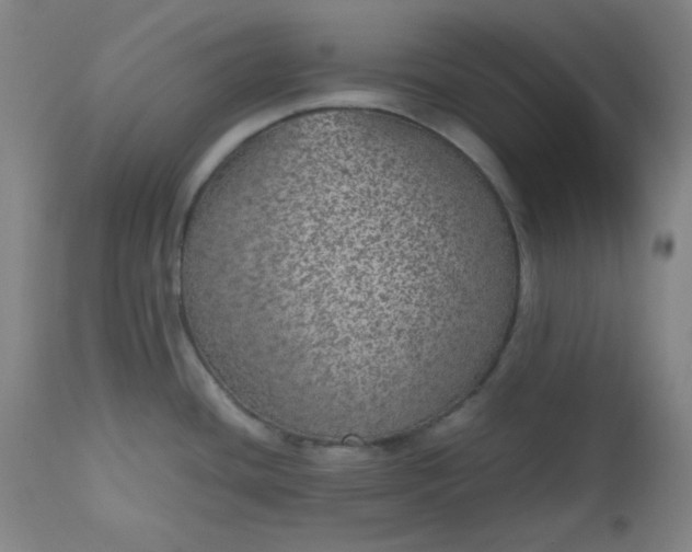 X0000112511436200908311322