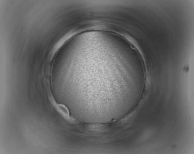 X0000112511437200908311322