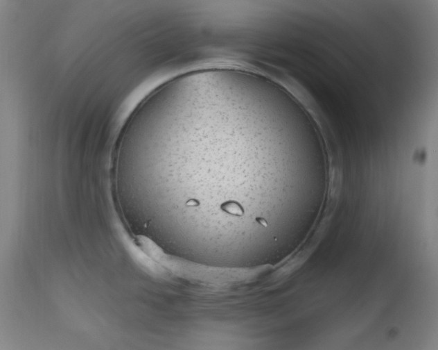 X0000112511438200908311322