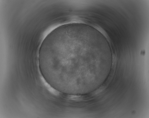 X0000112511439200908311322