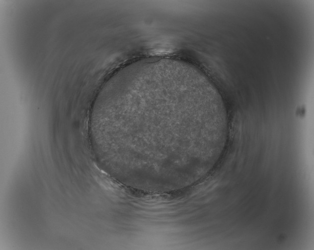 X0000112511441200908311321