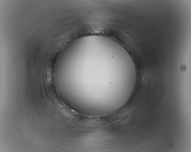 X0000112511442200908311321