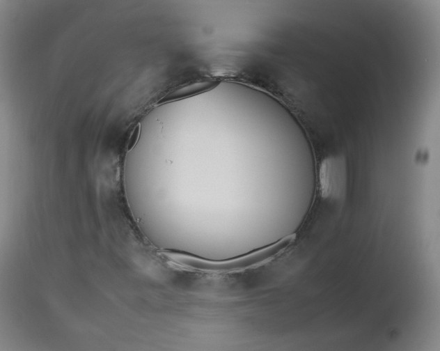 X0000112511443200908311321