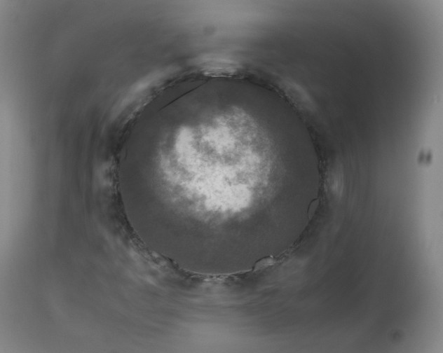 X0000112511445200908311321