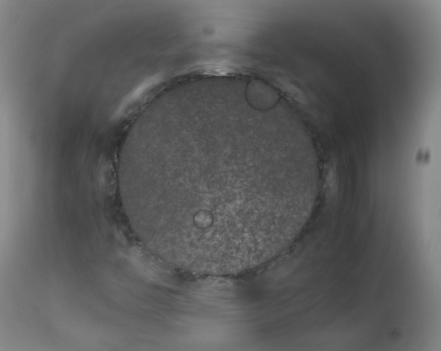 X0000112511446200908311321