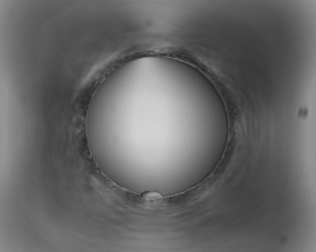 X0000112511447200908311321