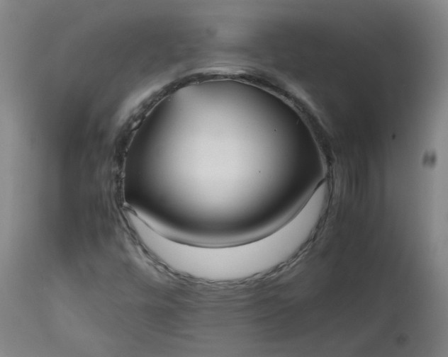 X0000112511448200908311321