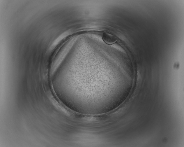 X0000112511450200908311321