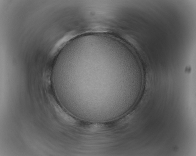 X0000112511451200908311321