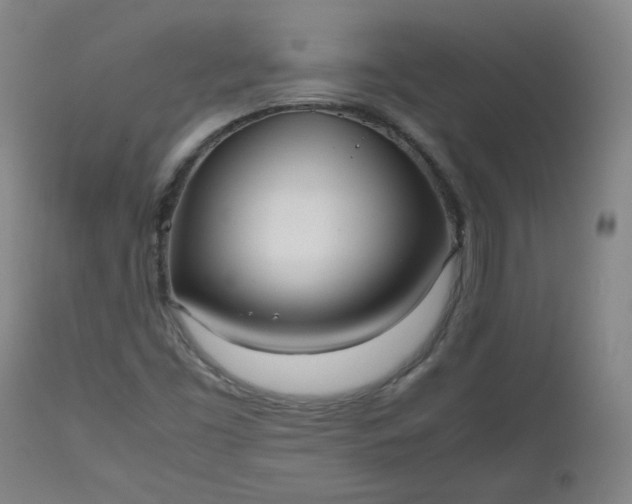 X0000112511453200908311321