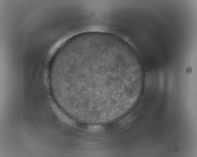 X0000112511454200908311321