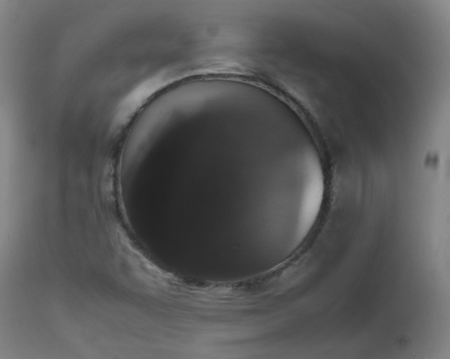 X0000112511455200908311321