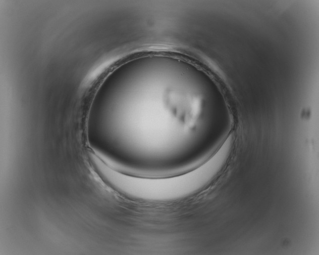 X0000112511456200908311321