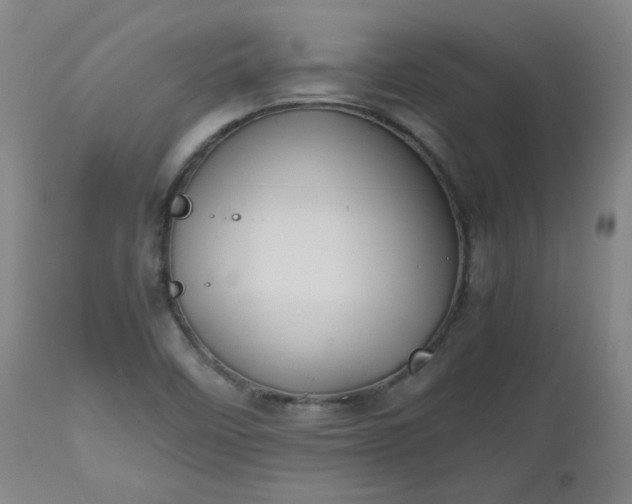 X0000112511458200908311321