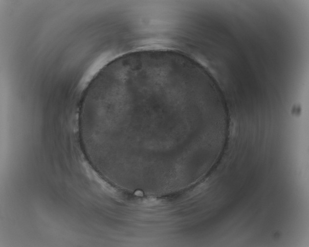 X0000112511459200908311321