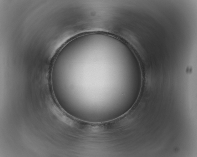 X0000112511460200908311321