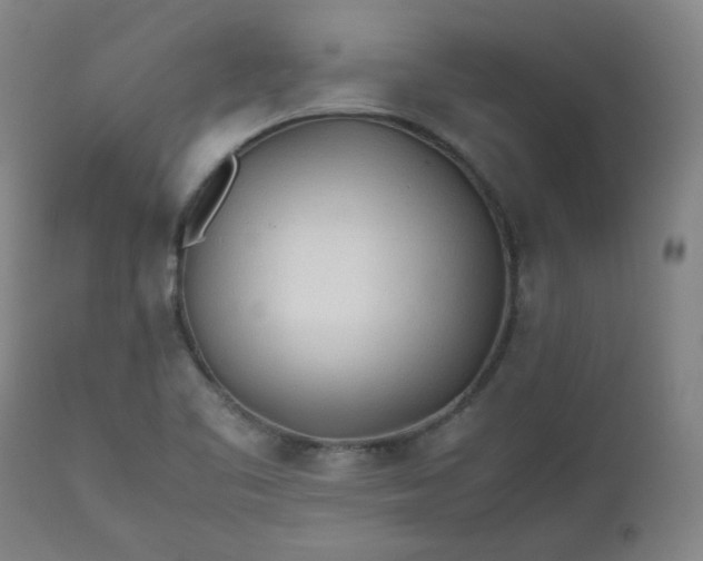 X0000112511461200908311321