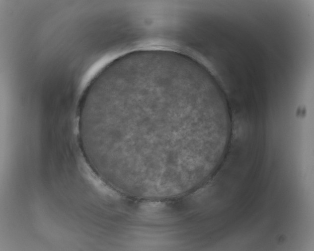 X0000112511462200908311321