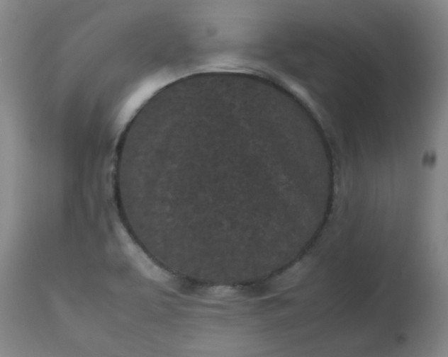 X0000112511463200908311321