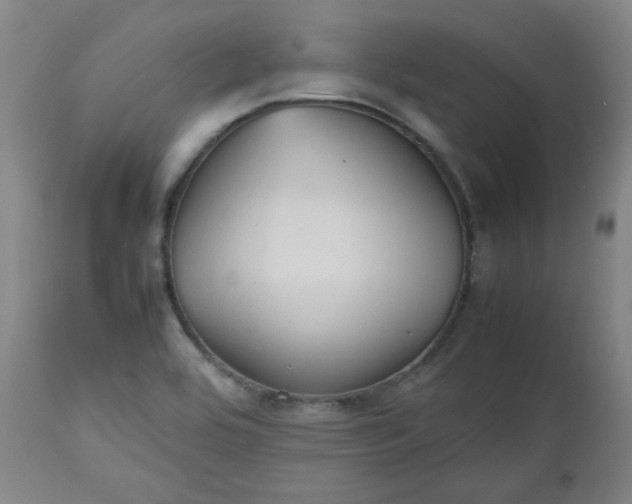 X0000112511464200908311321