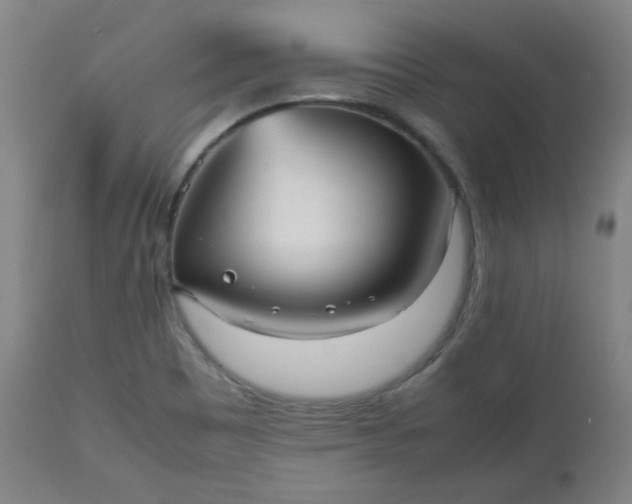 X0000112511465200908311321