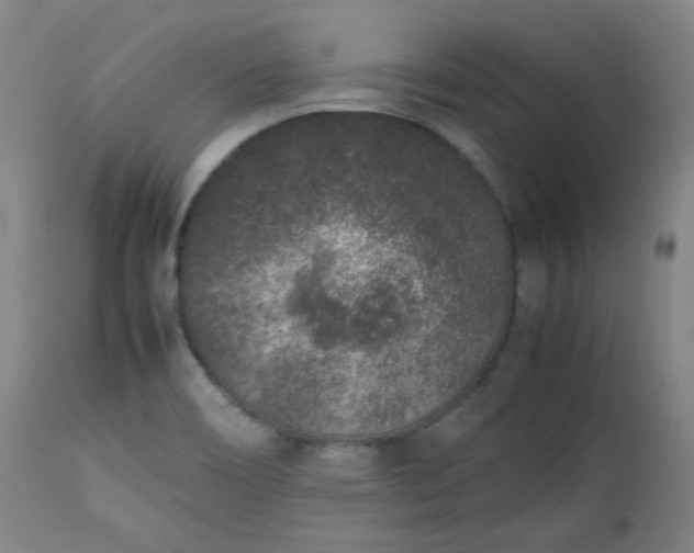 X0000112511466200908311321