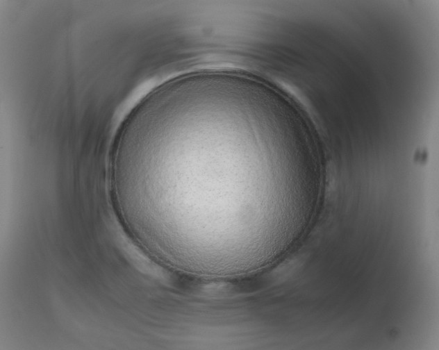 X0000112511467200908311321