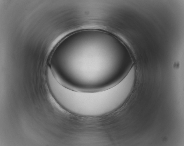 X0000112511468200908311321