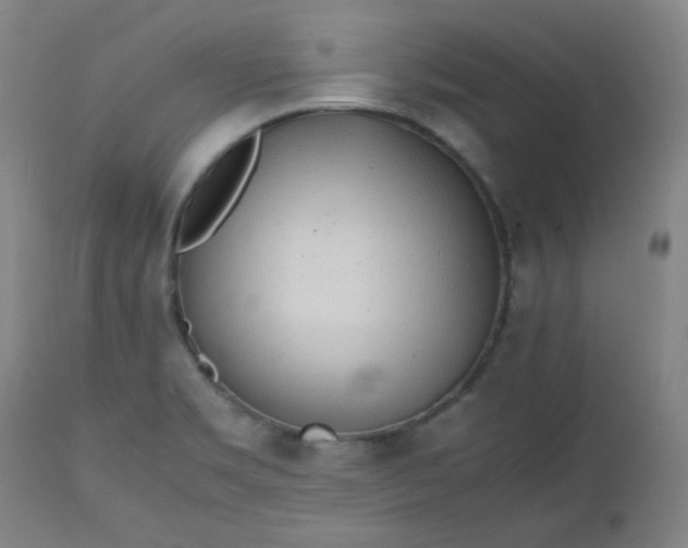 X0000112511469200908311321