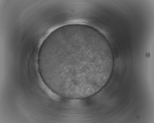 X0000112511470200908311321