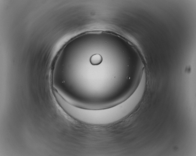 X0000112511472200908311321