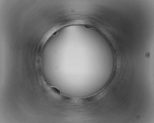 X0000112511473200908311321