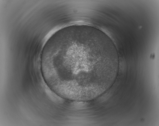 X0000112511474200908311321