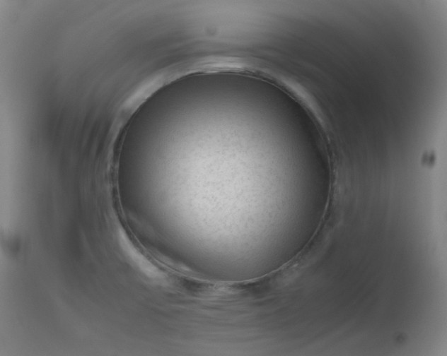 X0000112511475200908311321