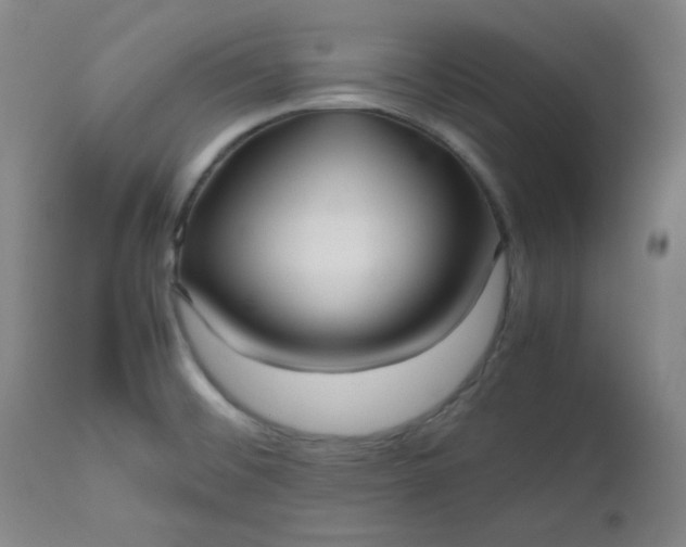 X0000112511476200908311321