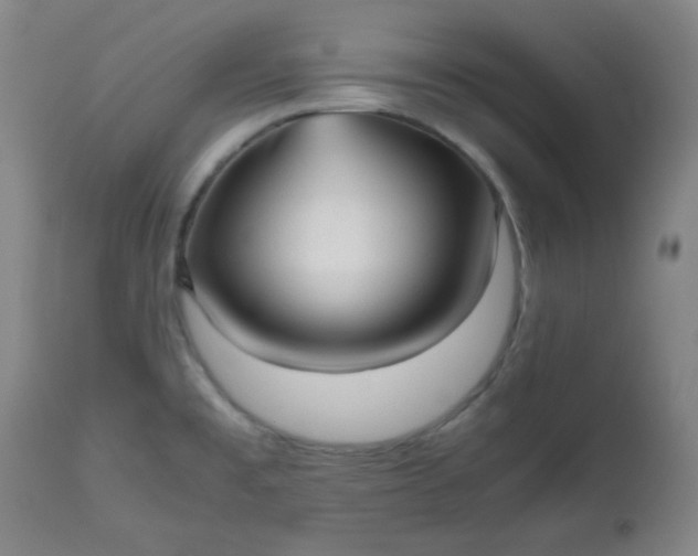 X0000112511477200908311321