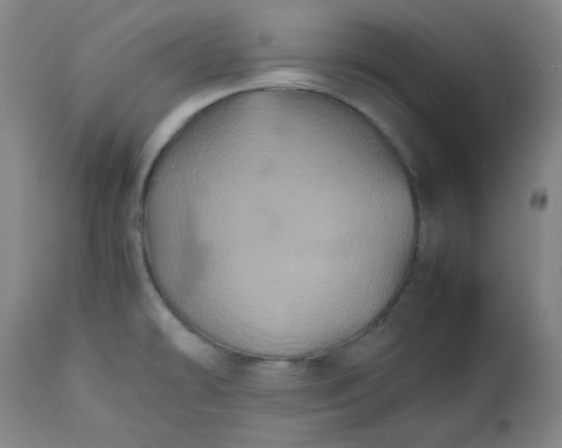 X0000112511478200908311321