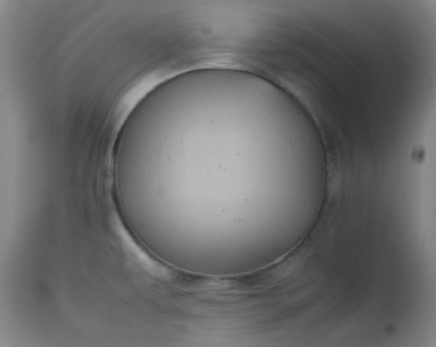 X0000112511479200908311321