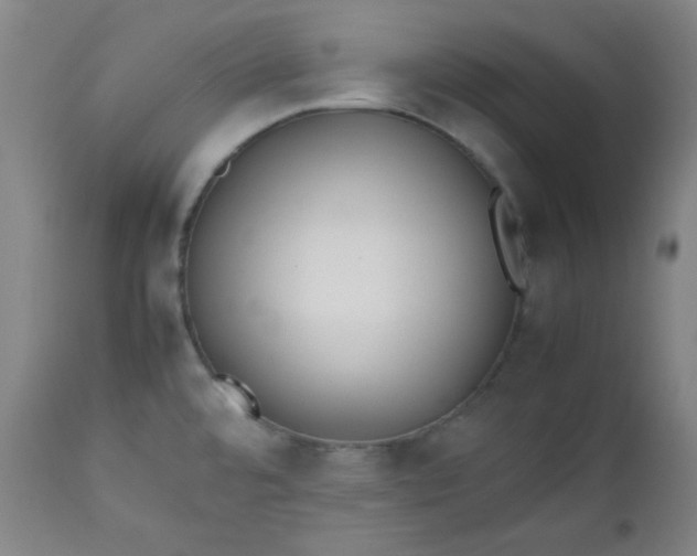 X0000112511480200908311321