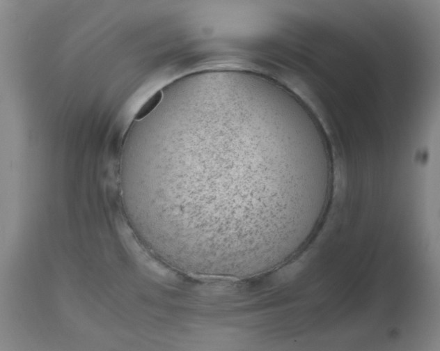 X0000112511481200908311321